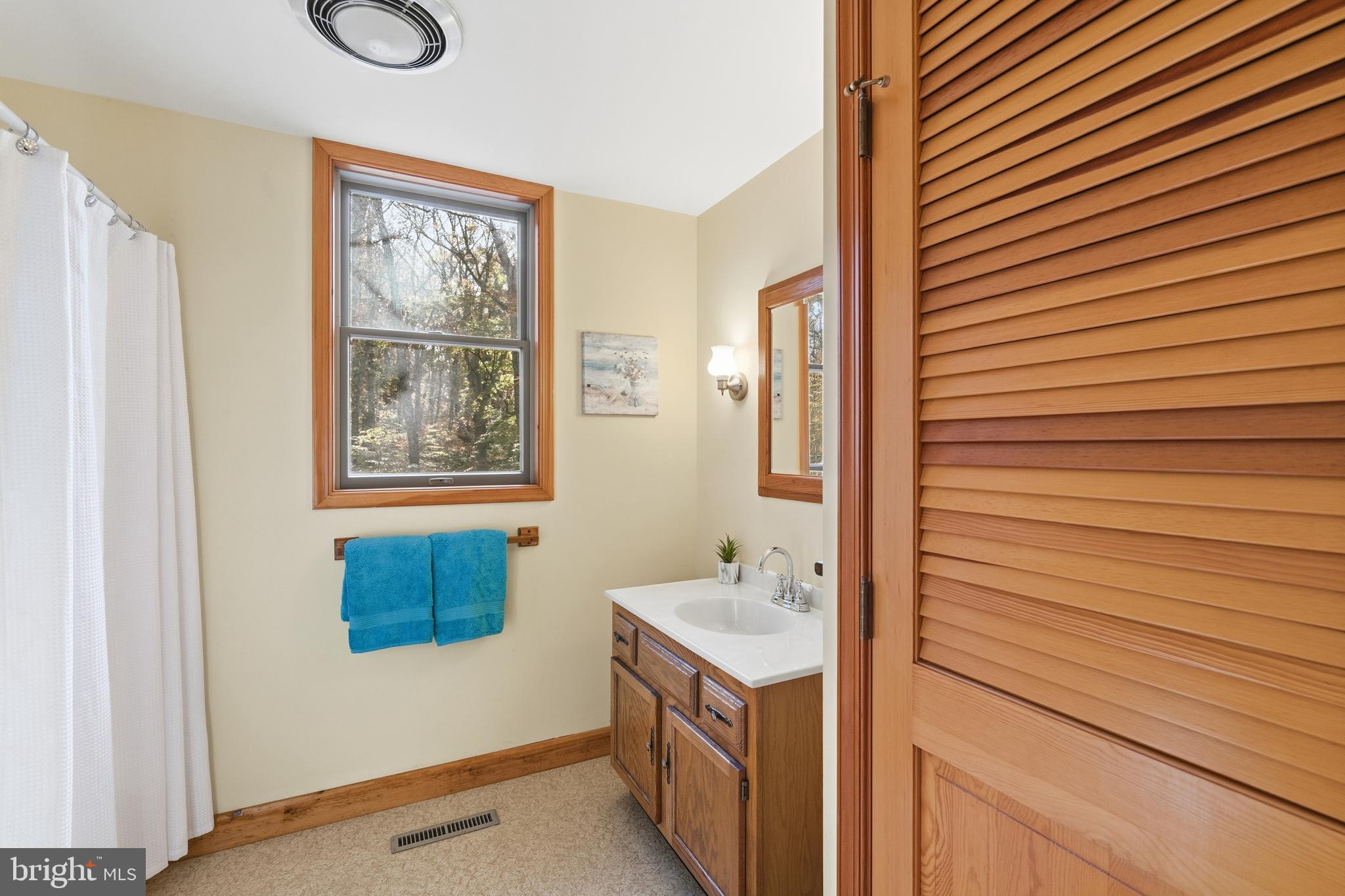 12400 Woods Road Worton, MD 21678 - Photo 14 of 29 a bathroom with a sink and a mirror