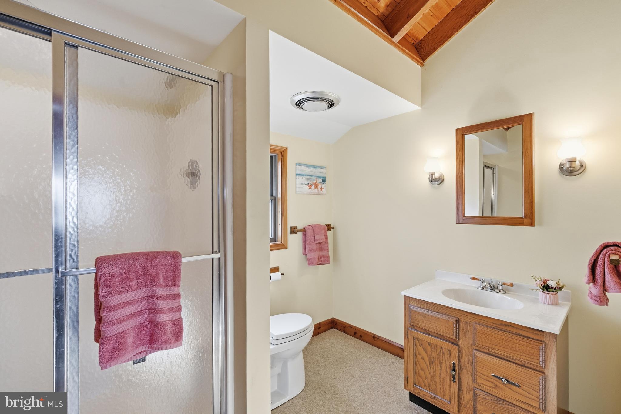 12400 Woods Road Worton, MD 21678 - Photo 22 of 29 a bathroom with a bath tub sink mirror vanity and toilet