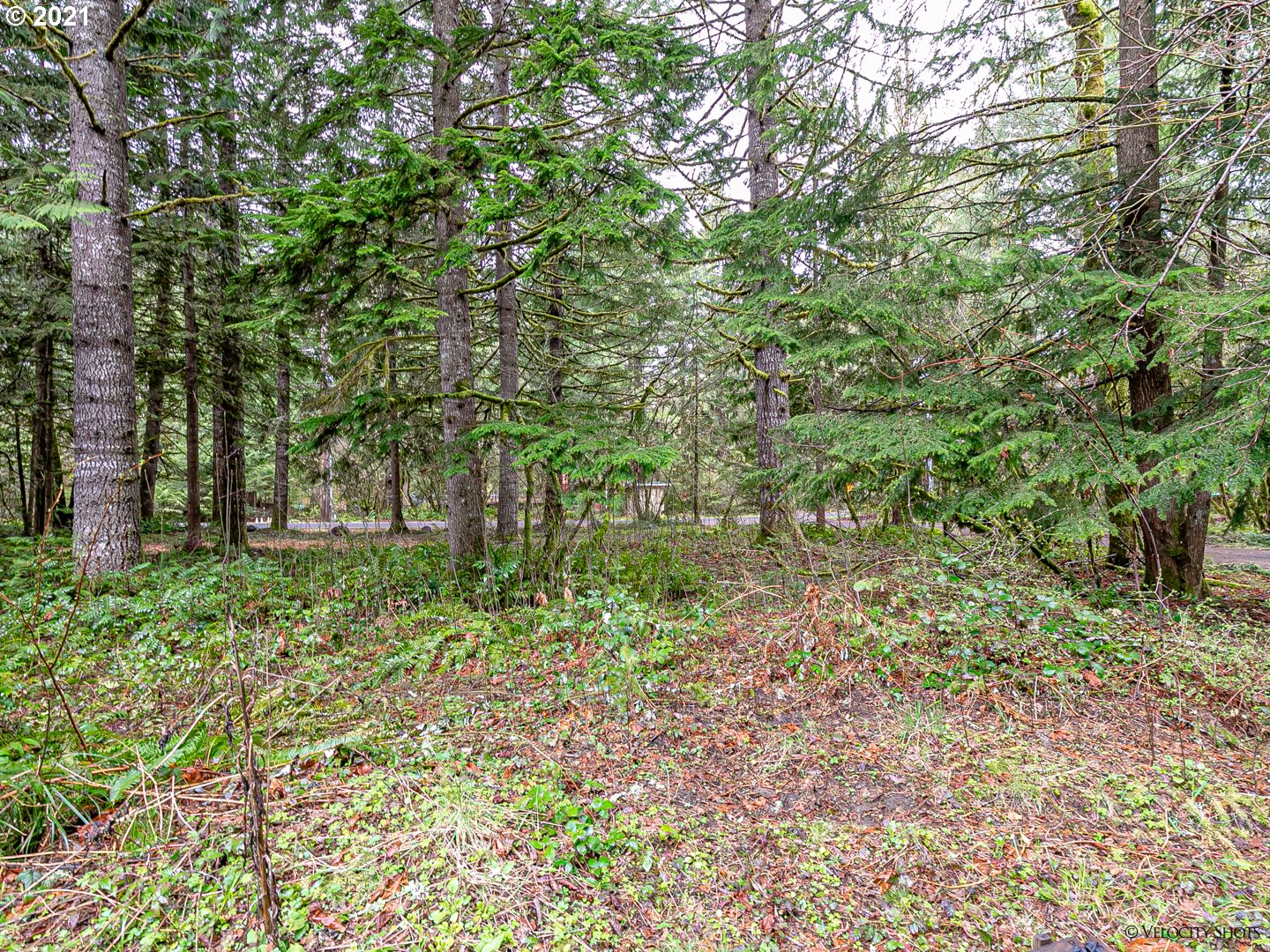 24555 East Woodsey Way Rhododendron, OR 97049 - Photo 28 of 30 Gallery Image 28