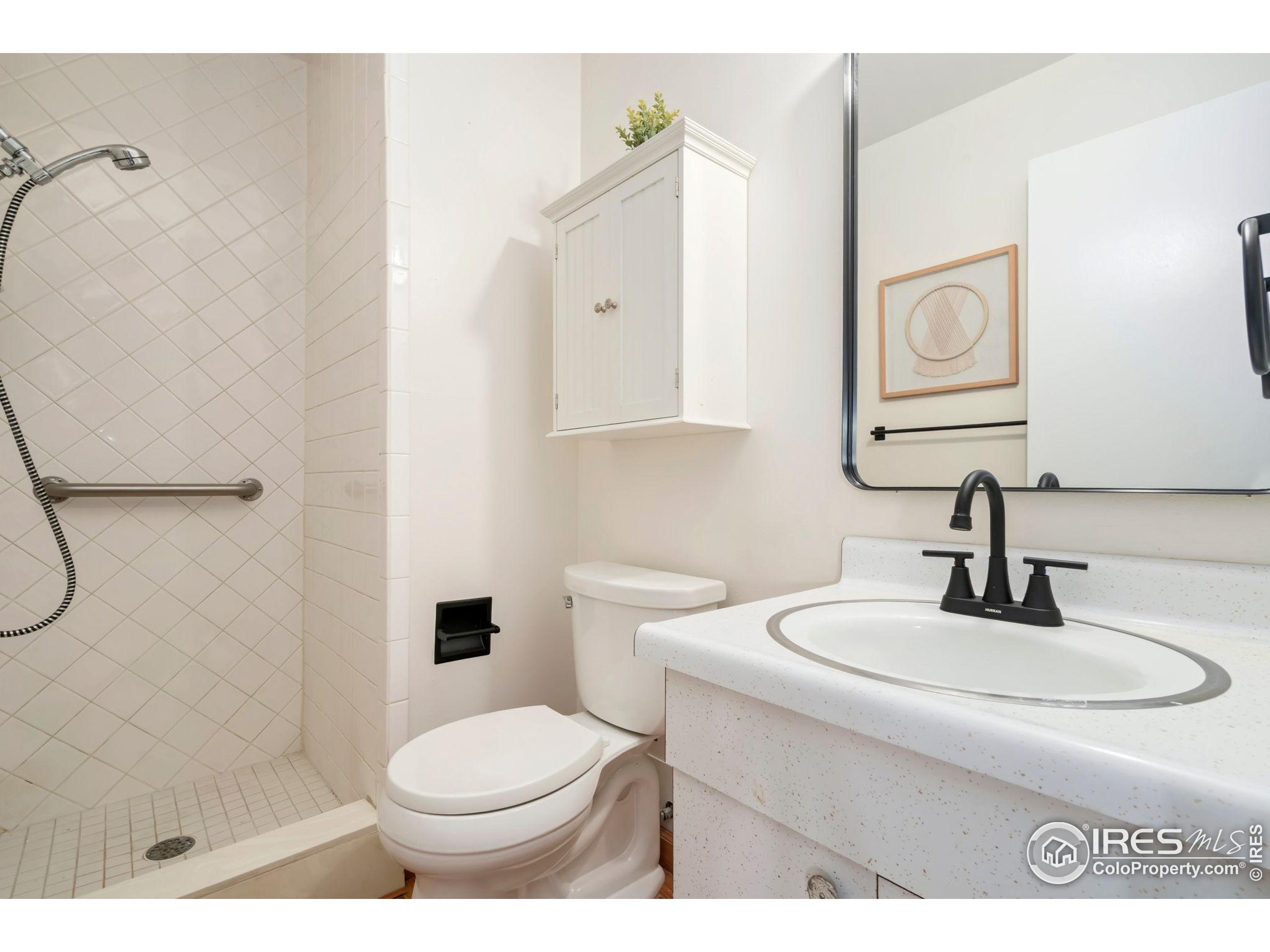 435 Birch Avenue Eaton, CO 80615 - Photo 26 of 32 a bathroom with a sink a toilet and a mirror
