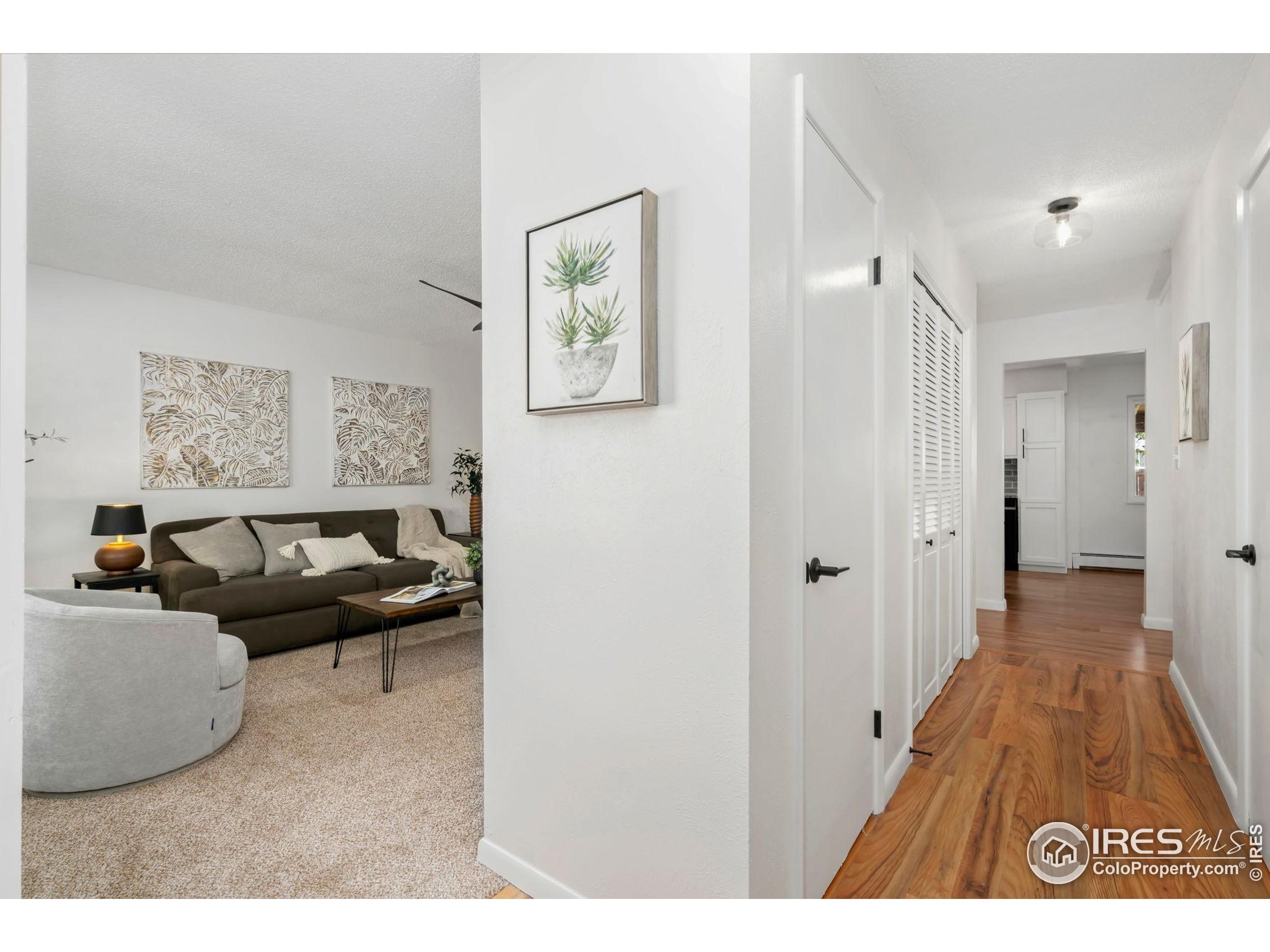 435 Birch Avenue Eaton, CO 80615 - Photo 6 of 32 a living room with furniture and a rug
