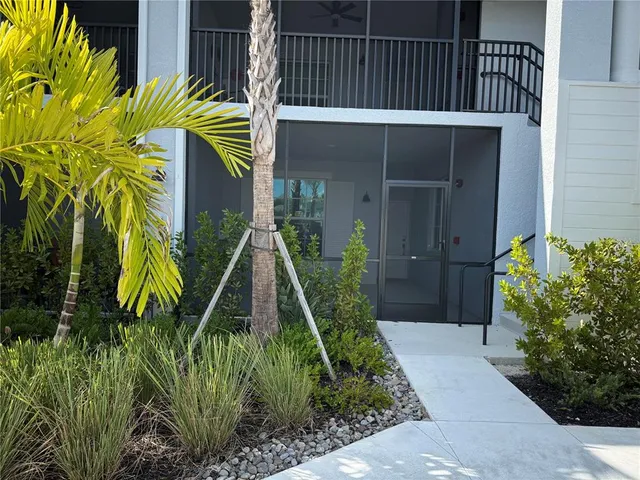 a view of a backyard with a plants