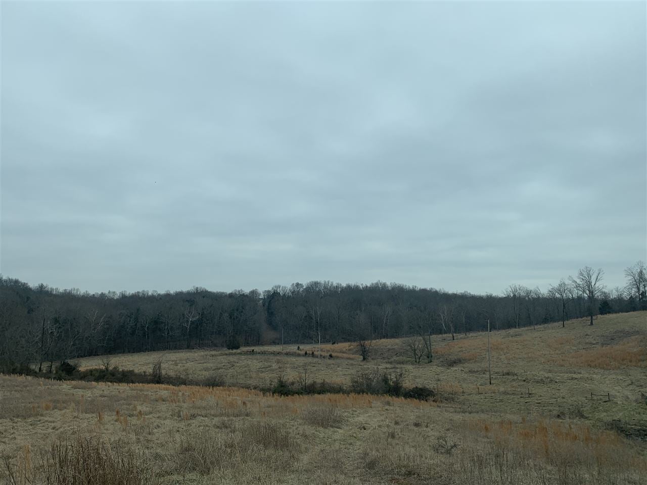 0 Trammel Road Scottsville, KY 42164 - Photo 4 of 8 Gallery Image 4