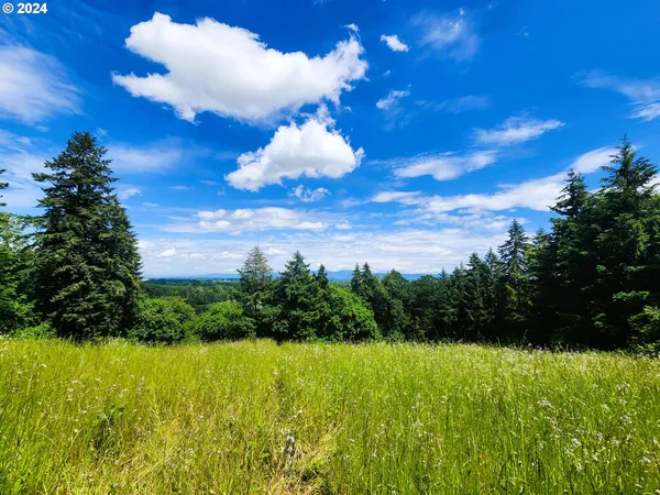 $199,000 | Applegate Trail, Unit 307, Cheshire, OR 97419