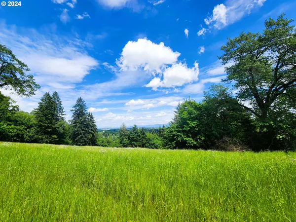 $199,000 | Applegate Trail, Unit 307, Cheshire, OR 97419