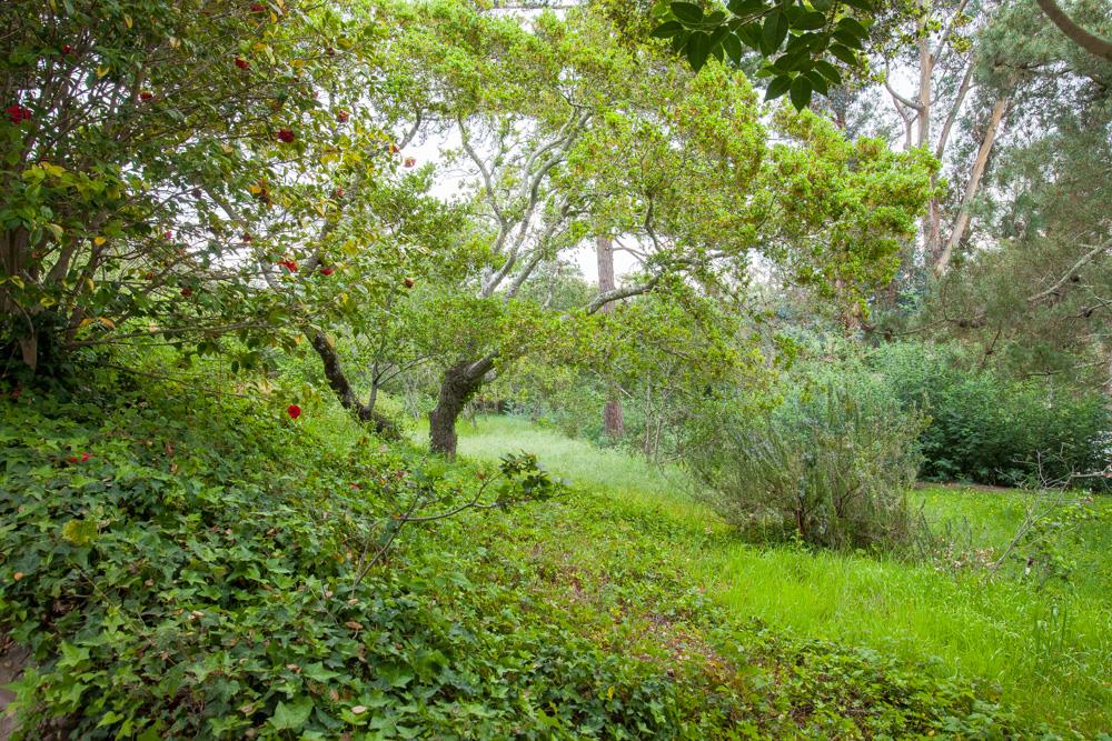 350 Cress Road Santa Cruz, CA 95060 - Photo 23 of 25 Gallery Image 23