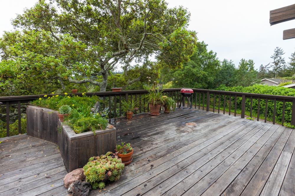 350 Cress Road Santa Cruz, CA 95060 - Photo 4 of 25 Gallery Image 4