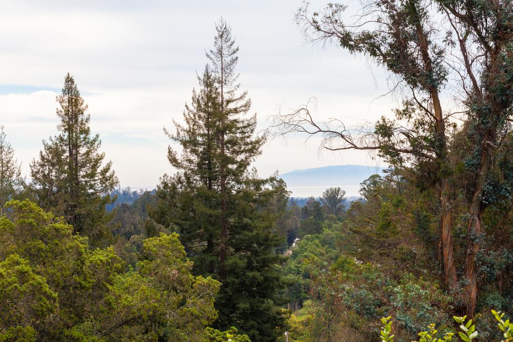 350 Cress Road Santa Cruz, CA 95060 - Photo 5 of 25 Gallery Image 5