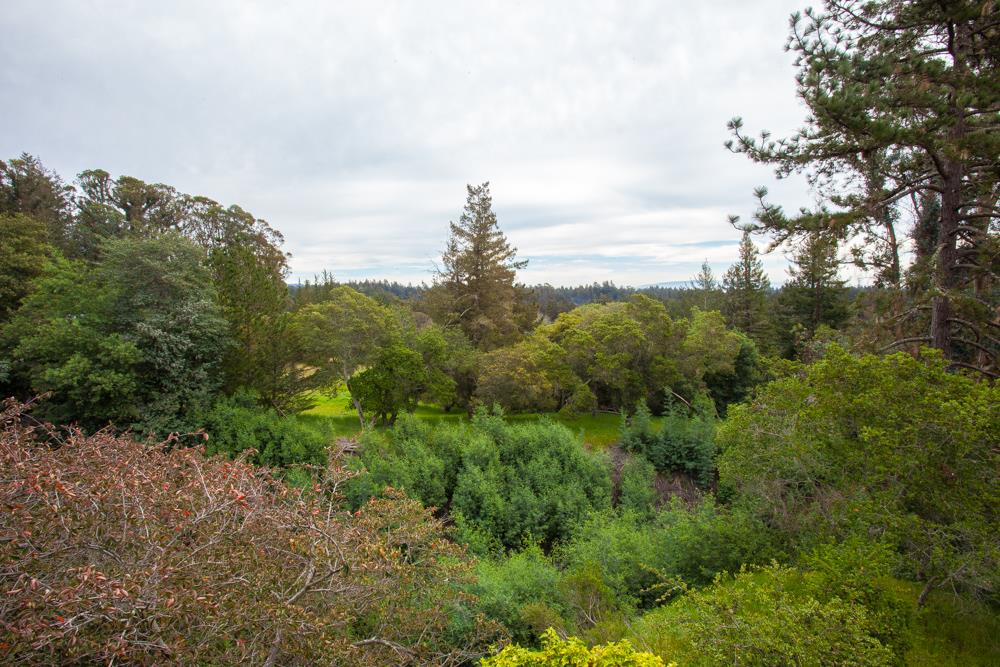 350 Cress Road Santa Cruz, CA 95060 - Photo 8 of 25 Gallery Image 8