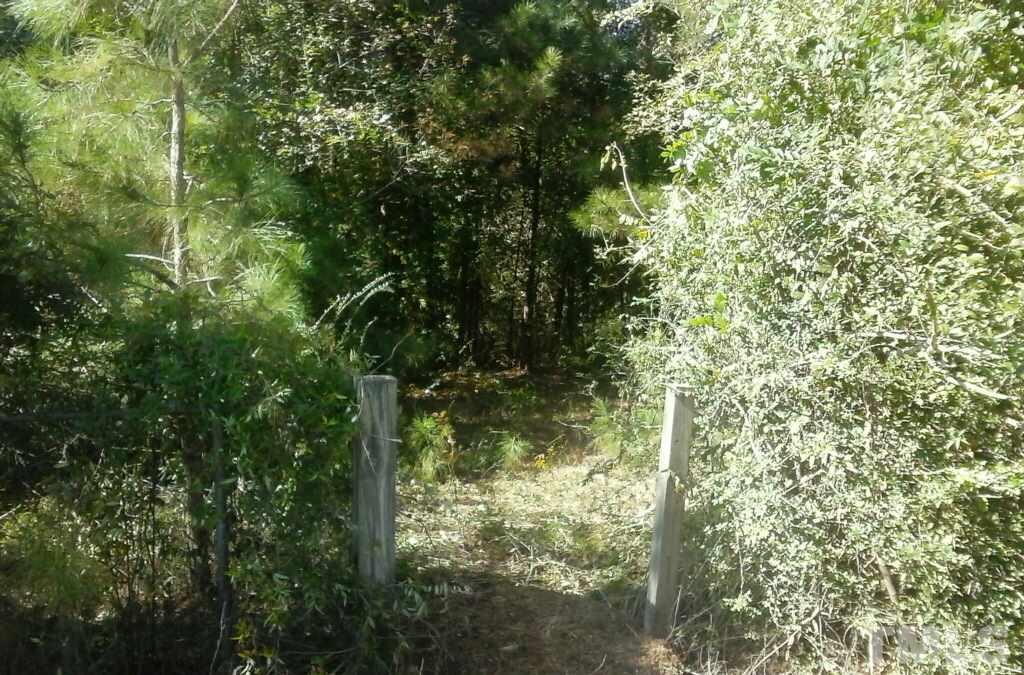 12626 Raleigh Road Benson, NC 27504 - Photo 19 of 19 Gallery Image 19