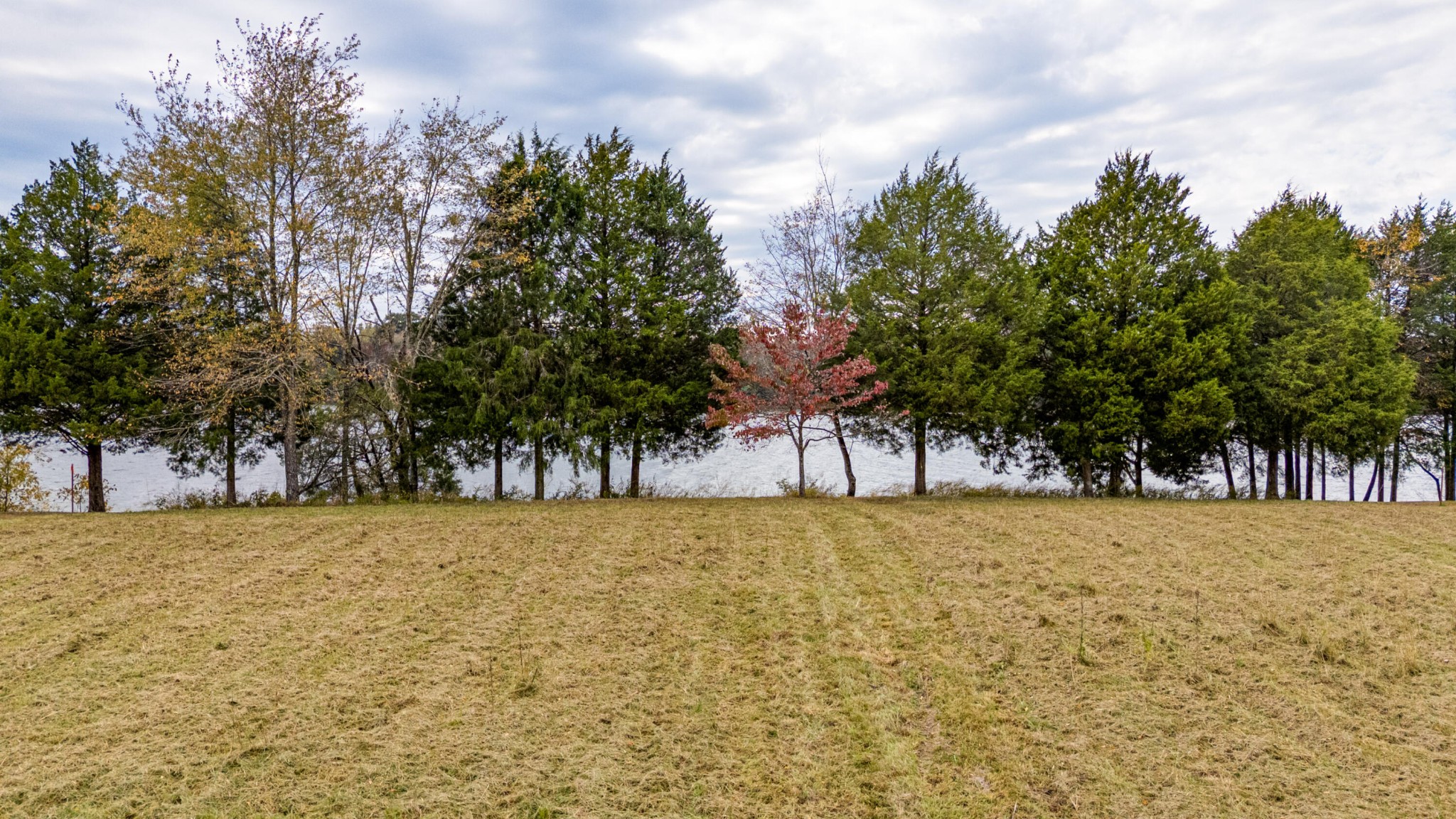 61 Espalier Drive Decatur, TN 37322 - Photo 9 of 21 Gallery Image 9