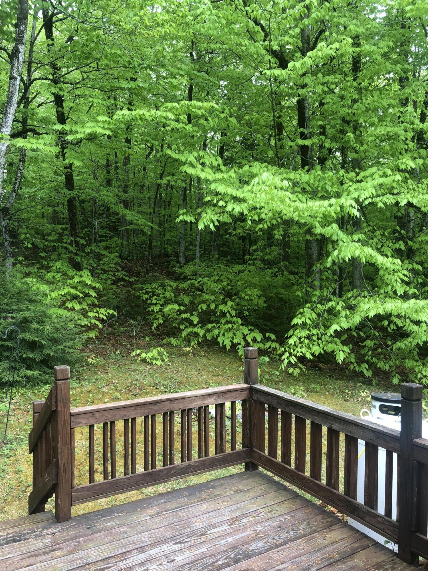 44 Taylor Woods Road Belgrade, ME 04917 - Photo 5 of 17 IMG_6346