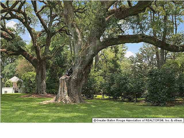 7815 Highland Road Baton Rouge, LA 70808 - Photo 27 of 30