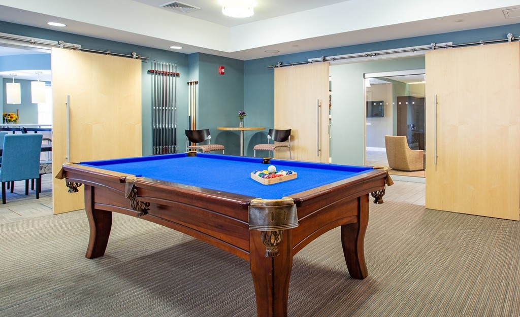 30 Mill Street, Unit 206 Arlington, MA 02476 - Photo 11 of 23 a room with pool table and windows
