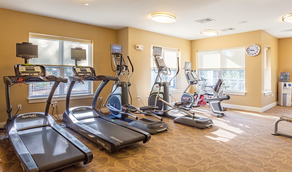 30 Mill Street, Unit 206 Arlington, MA 02476 - Photo 8 of 23 a view of a room with gym equipment