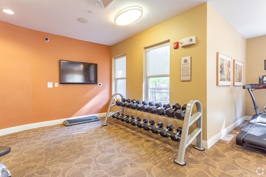 30 Mill Street, Unit 206 Arlington, MA 02476 - Photo 9 of 23 a living room with furniture and a flat screen tv