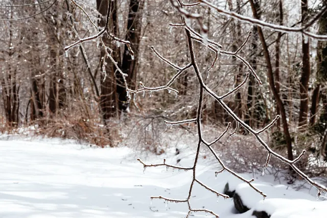 $550,000 | 3 Kerry Gardens, Unit 25, Belfast, ME 04915