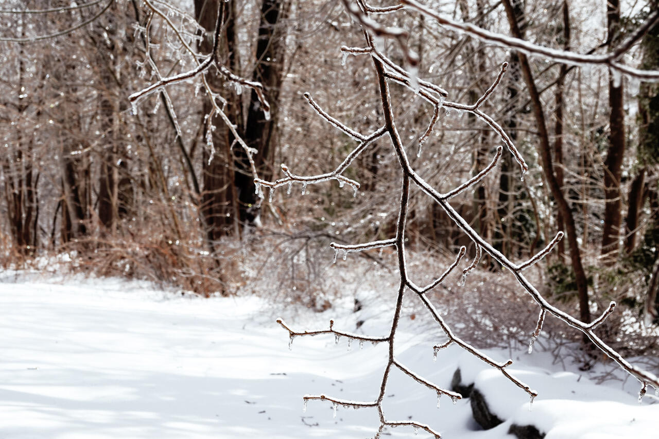 3 Kerry Gardens, Unit 25 Belfast, ME 04915 - Photo 19 of 24 3 Kerry Gardens