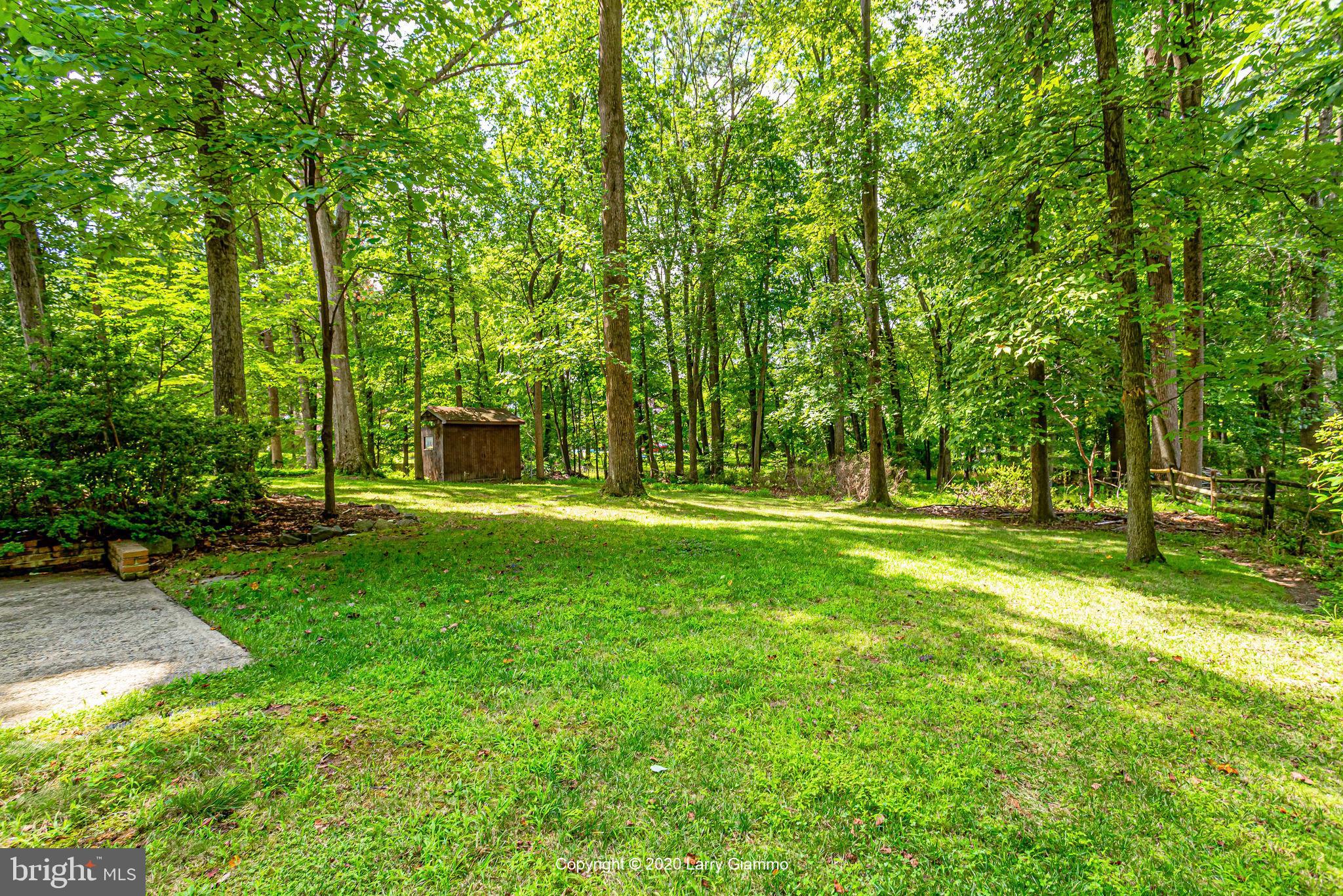 13720 Bridgewater Drive Silver Spring, MD 20904 - Photo 40 of 42 Backyard, from back of the house