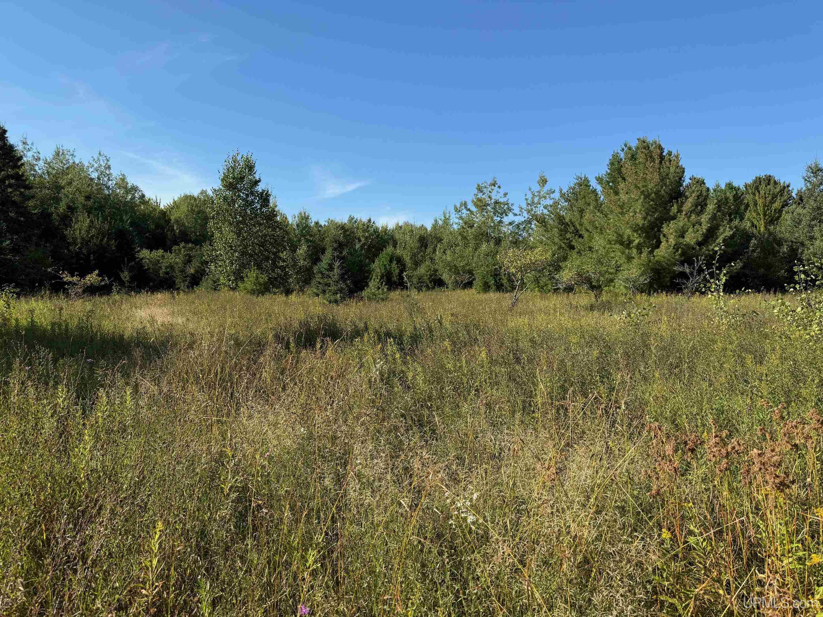 Tbde20 Firesteel Road Ontonagon, MI 49953 - Photo 10 of 16