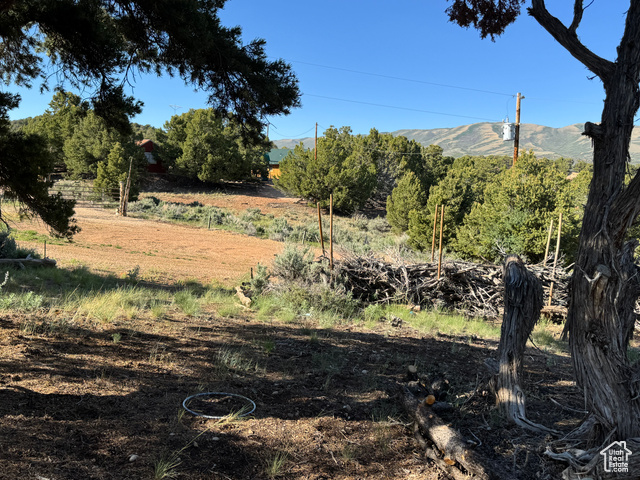 46205 Little Elk Road Fruitland, UT 84027 - Photo 20 of 24 View of yard with a mountain view and a rural view- bike atv paths- trimmed trails- tree house -