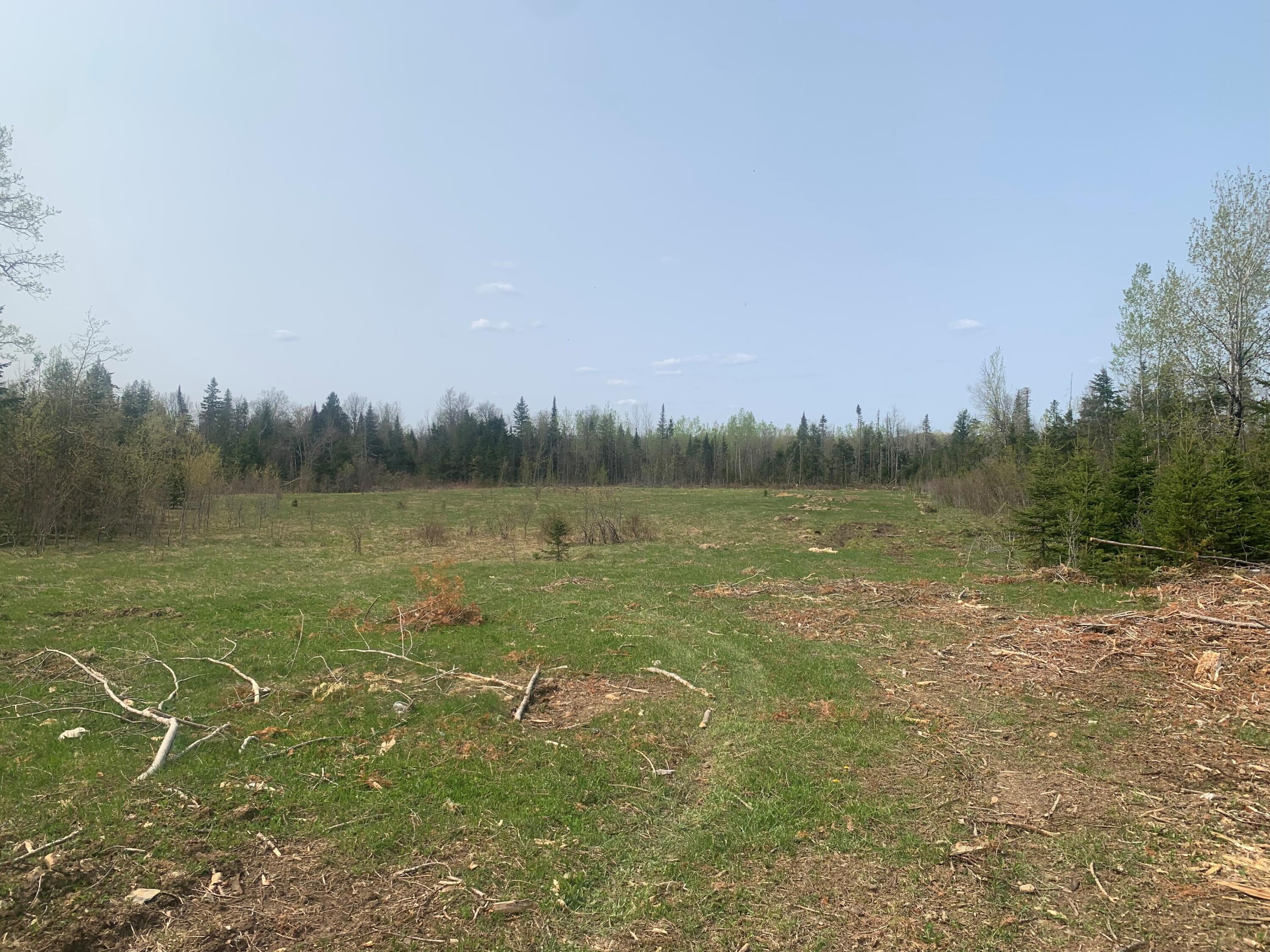 0 Townline Road Merrill, ME 04780 - Photo 10 of 21 MLS10
