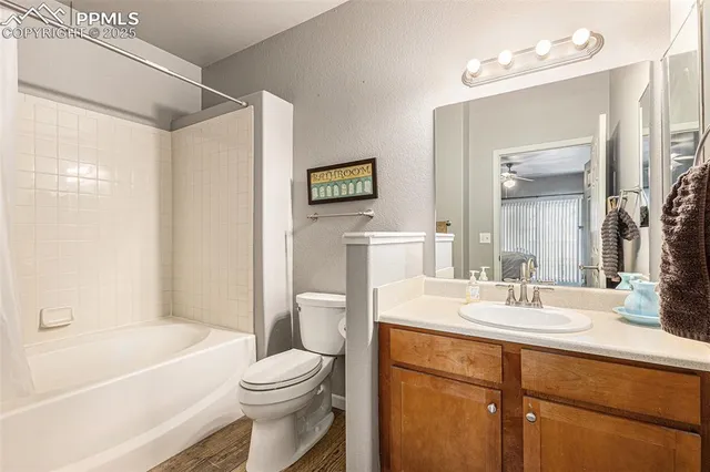 a bathroom with a sink a toilet a mirror a vanity and bathtub