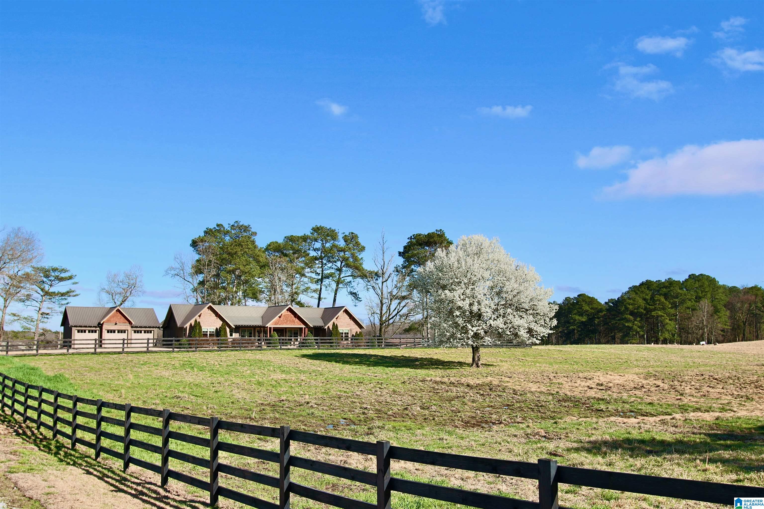 1396 Sun Valley Road Harpersville, AL 35078 - Photo 1 of 82