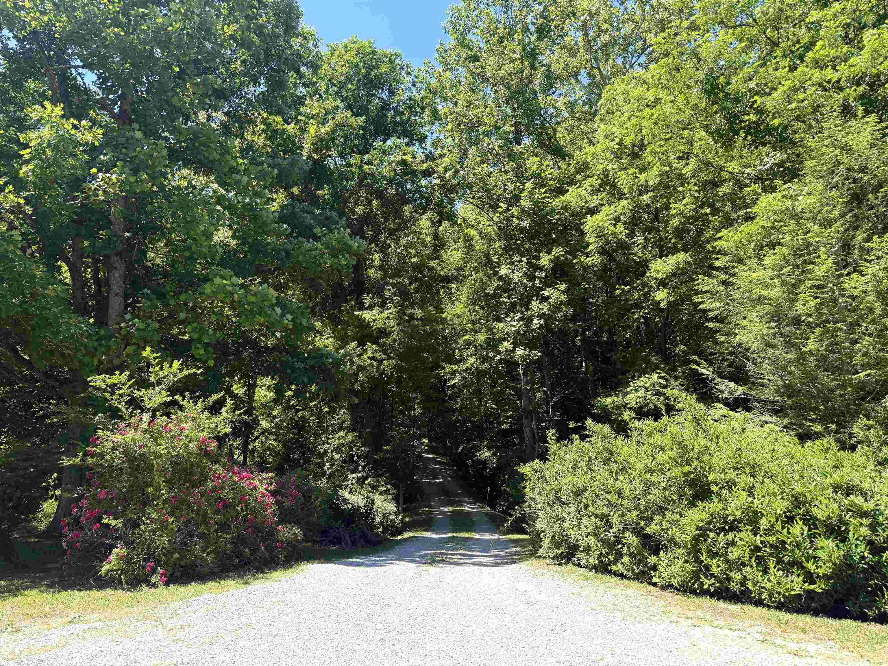 887 Trumbo Road Morehead, KY 40351 - Photo 9 of 49