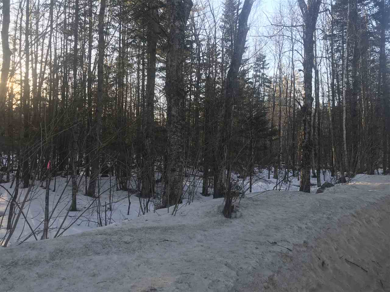 Toad Hill Road Sugar Hill, NH 03586 - Photo 1 of 7