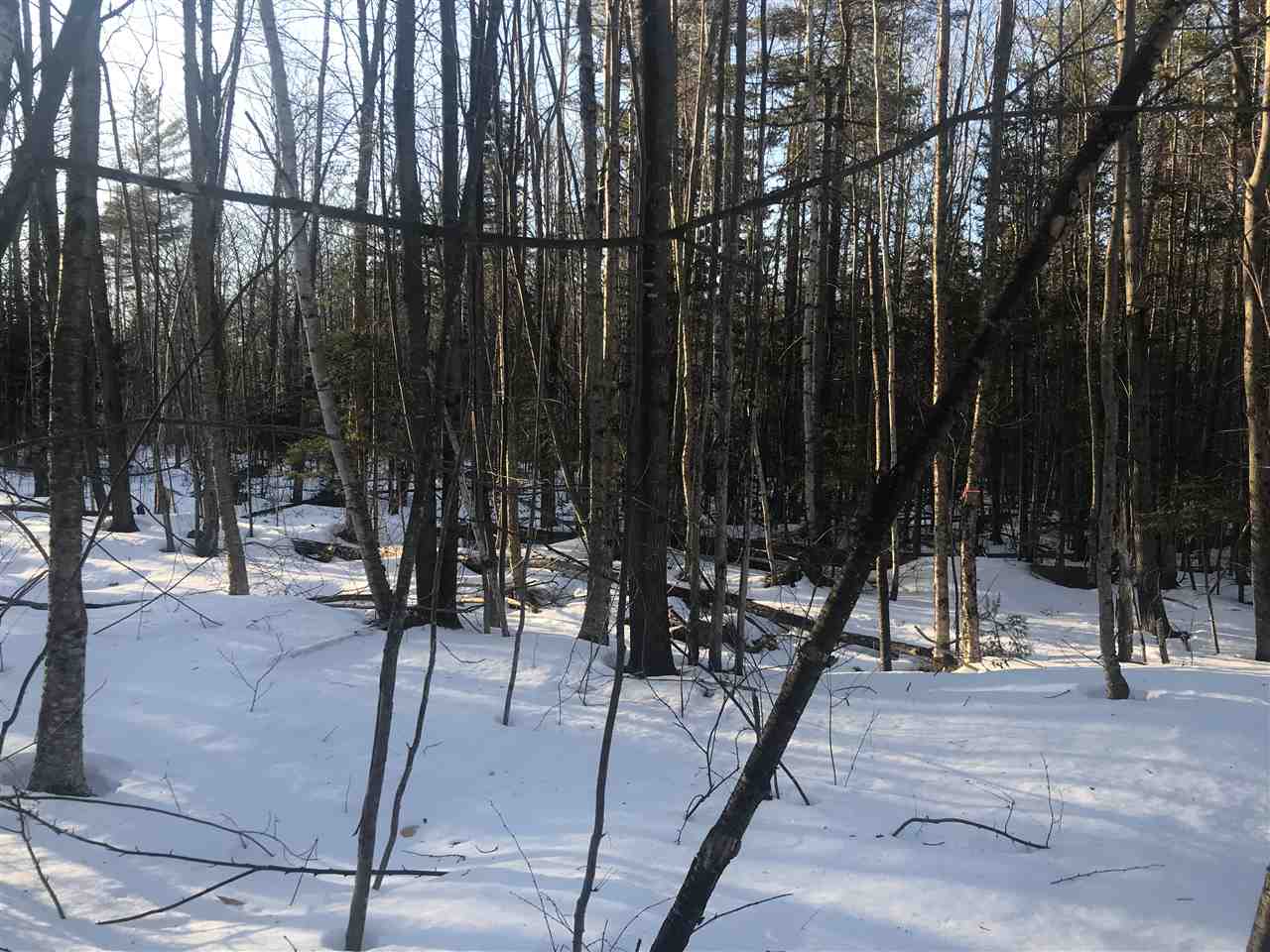 Toad Hill Road Sugar Hill, NH 03586 - Photo 2 of 7