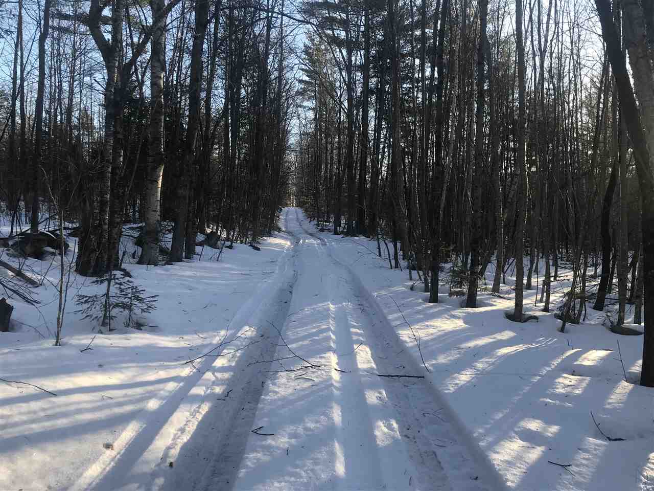 Toad Hill Road Sugar Hill, NH 03586 - Photo 4 of 7