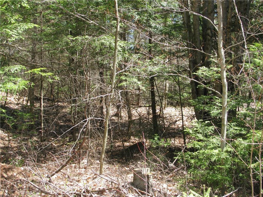0 Rabbit Road Sabattus, ME 04280 - Photo 8 of 19 Photo