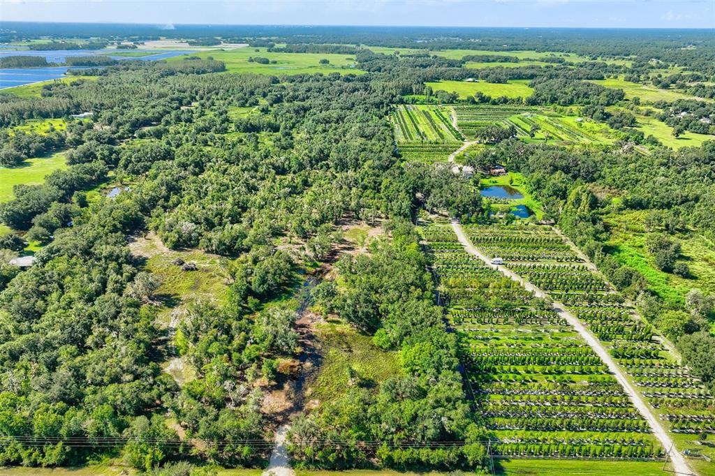 Bruton Road Plant City, FL 33565 - Photo 6 of 14 Gallery Image 6