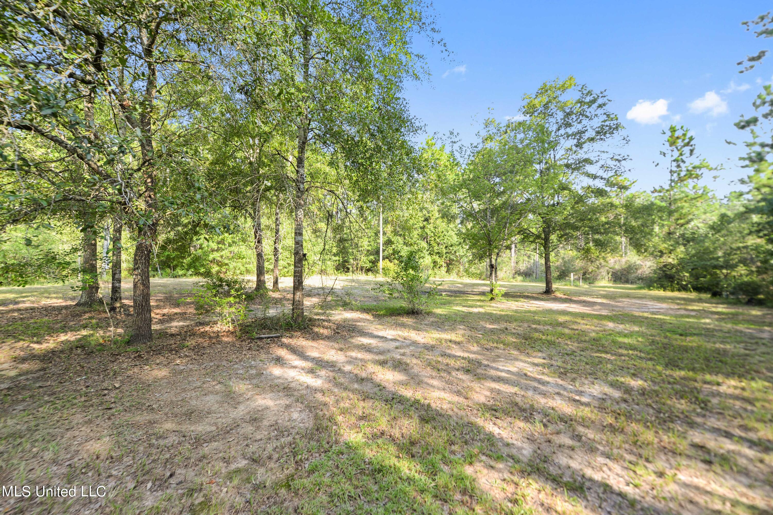 17235 Saucier Lizana Road Saucier, MS 39574 - Photo 12 of 17 012 (13)