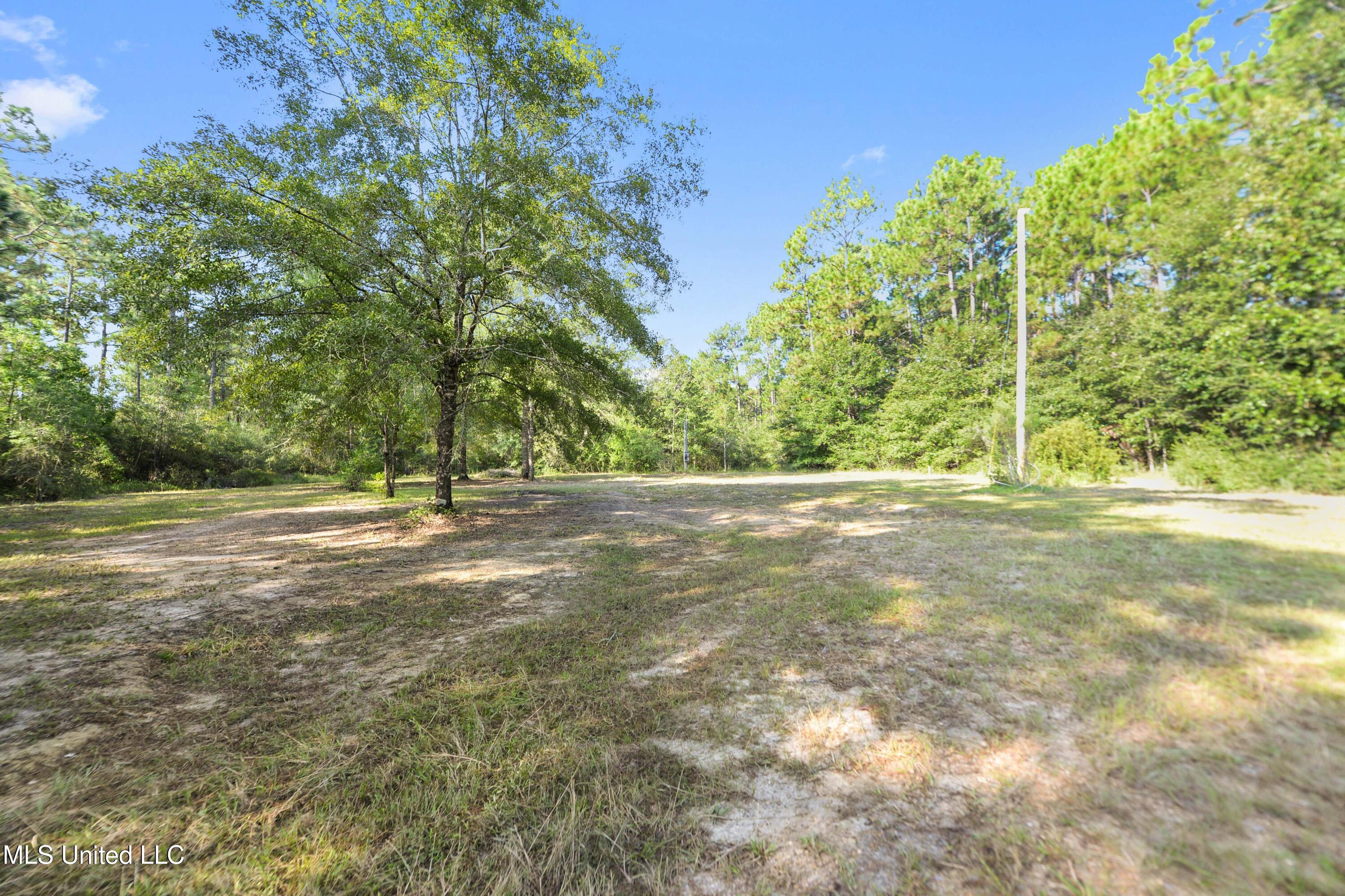 17235 Saucier Lizana Road Saucier, MS 39574 - Photo 10 of 17 010 (13)
