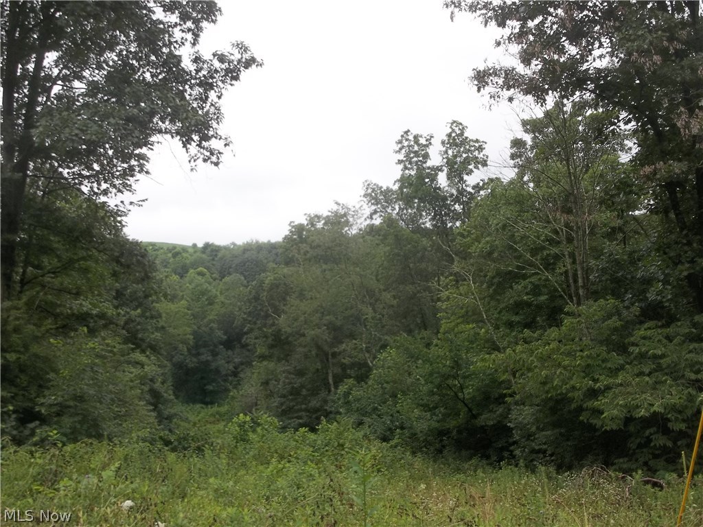 12049 Lick Run Road Newcomerstown, OH 43832 - Photo 21 of 21 Gallery Image 21