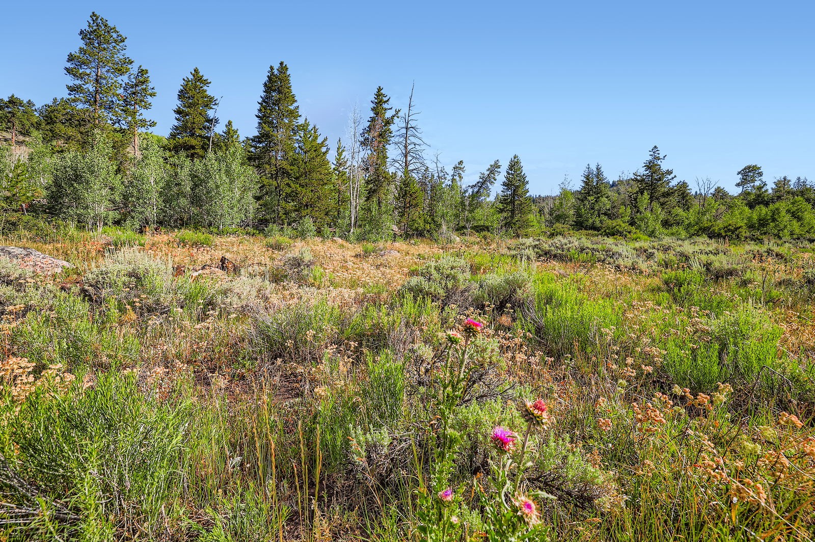 75 Antler Gulch Road, Unit 401 Keystone, CO 80435 - Photo 28 of 28