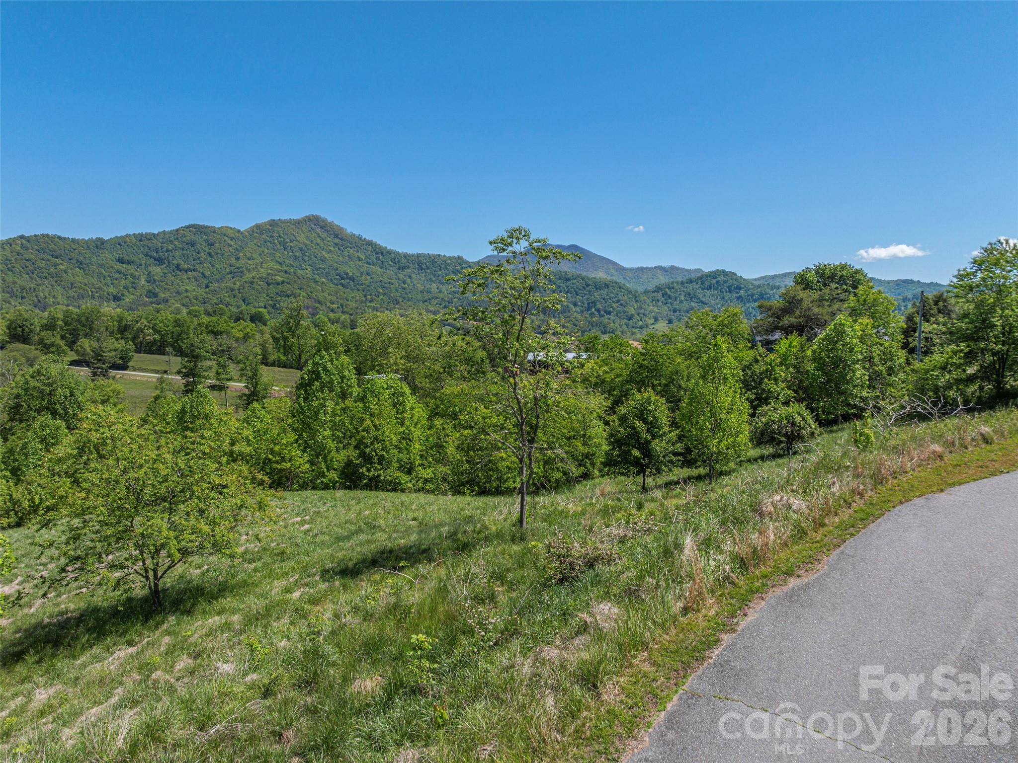 0 Inheritance Mountain Road Waynesville, NC 28785 - Photo 15 of 20