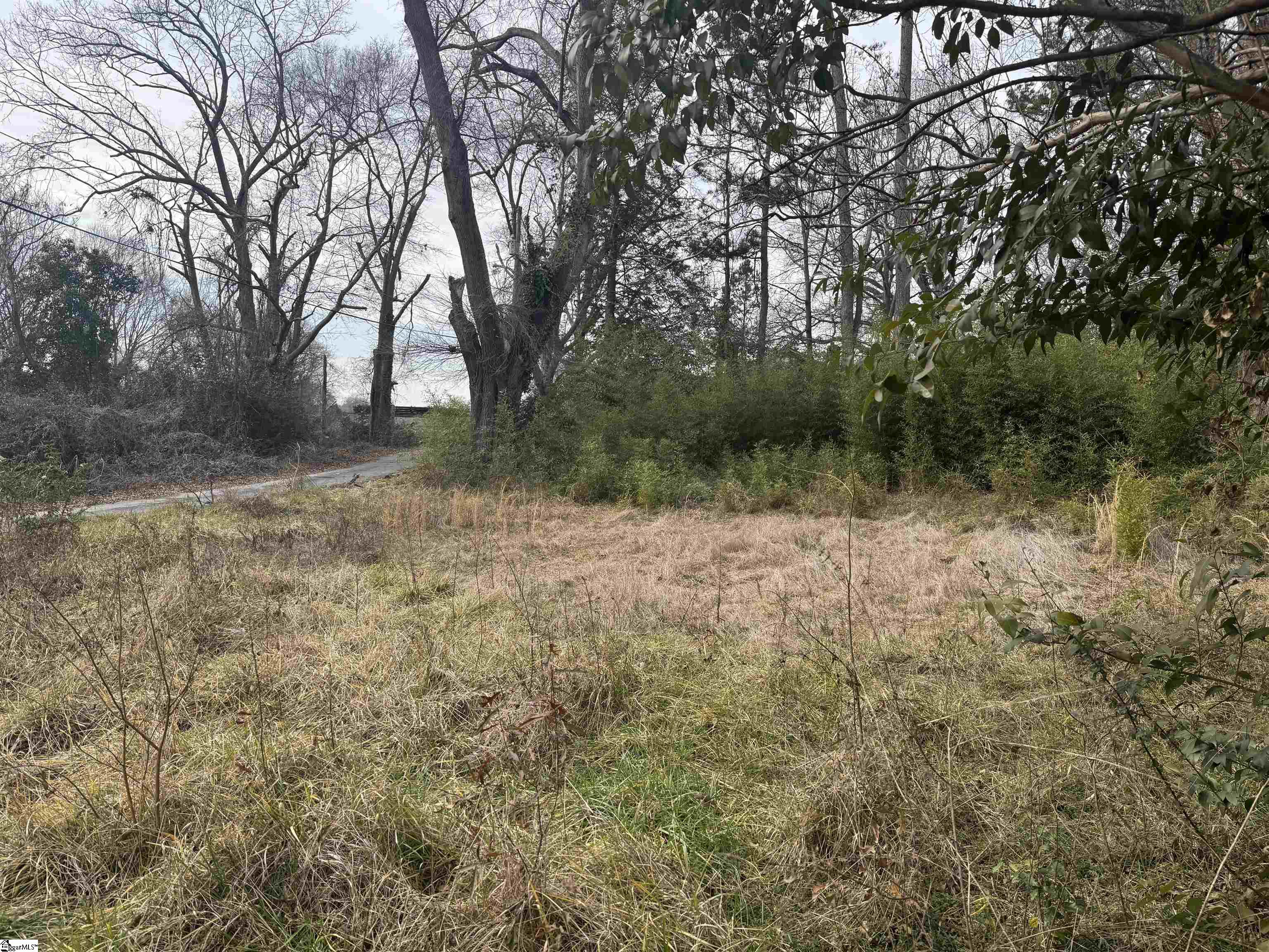 103 Frances Street Anderson, SC 29621 - Photo 3 of 4