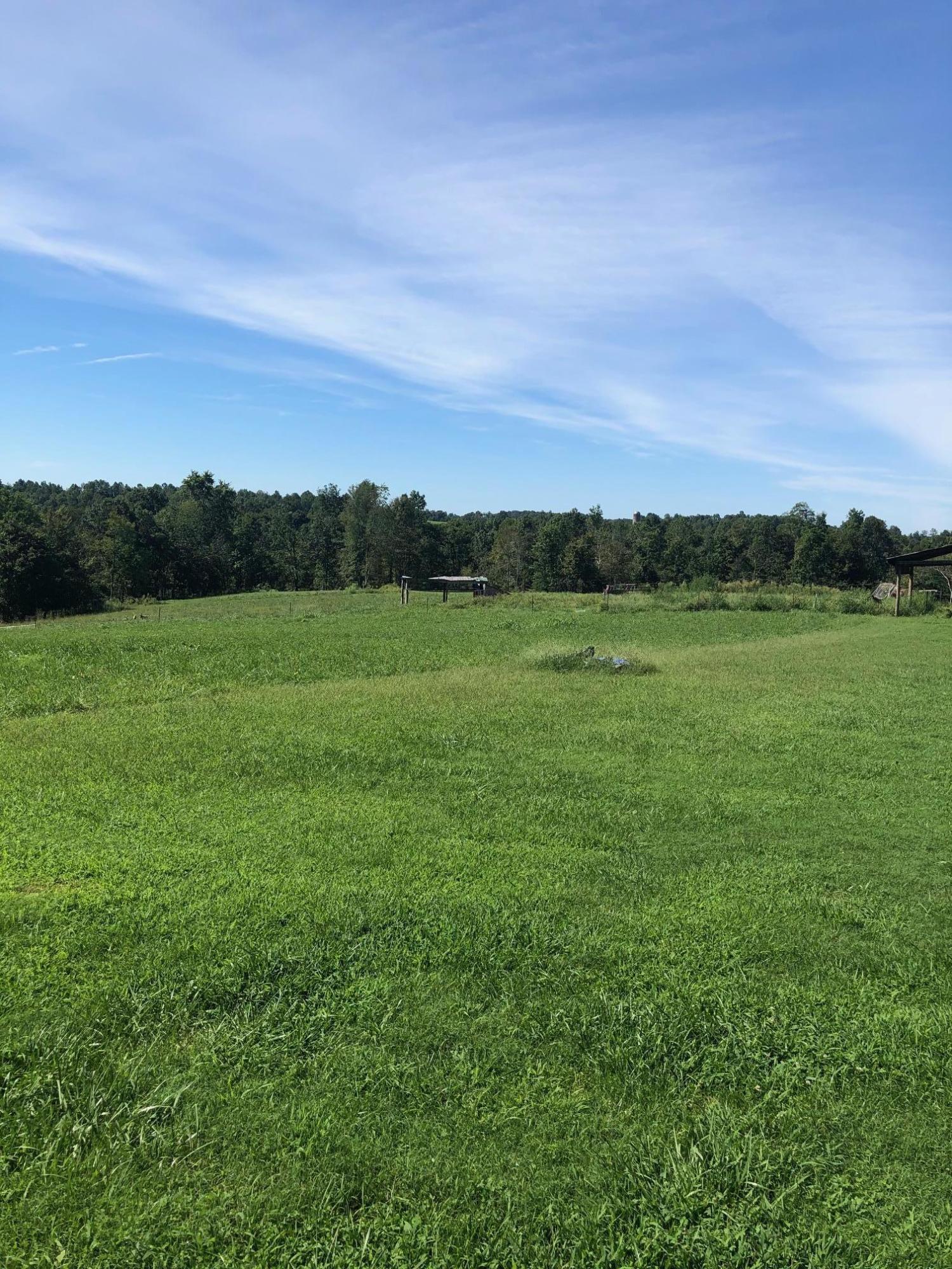 1555 Pleasant Point School Road Waynesburg, KY 40489 - Photo 45 of 58 50 Gorgeous Acres