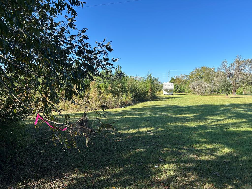 95 (columbia Rd) Road Abbeville, AL 36310 - Photo 8 of 41