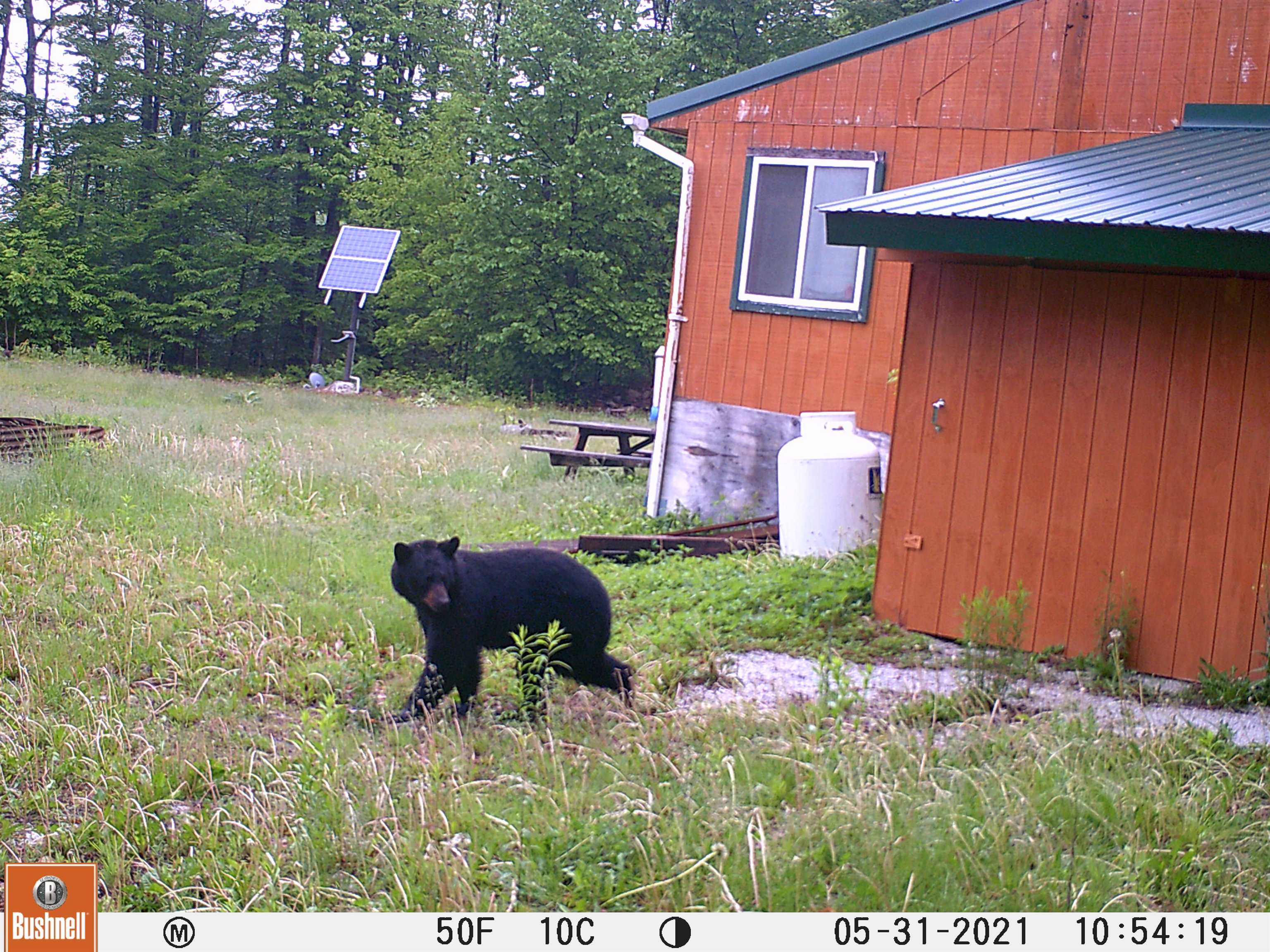 0 Slab Fence Road Rutland, VT 05701 - Photo 23 of 27 Gallery Image 23