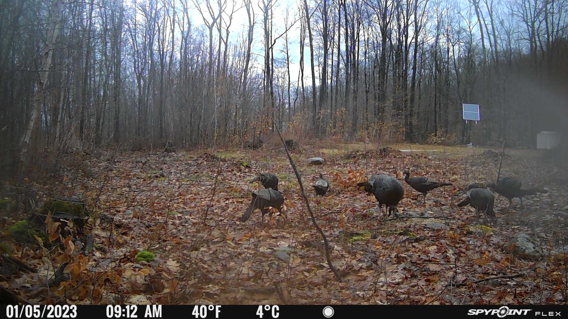 0 Slab Fence Road Rutland, VT 05701 - Photo 24 of 27 Gallery Image 24
