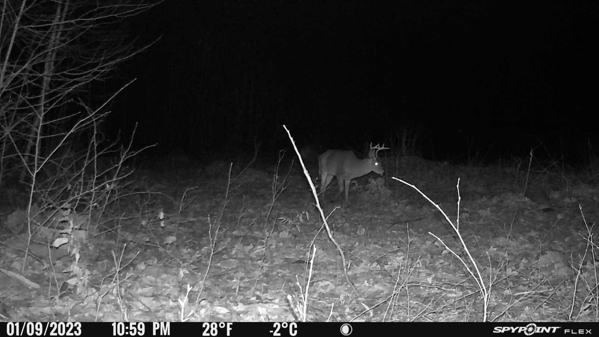 0 Slab Fence Road Rutland, VT 05701 - Photo 26 of 27 Gallery Image 26