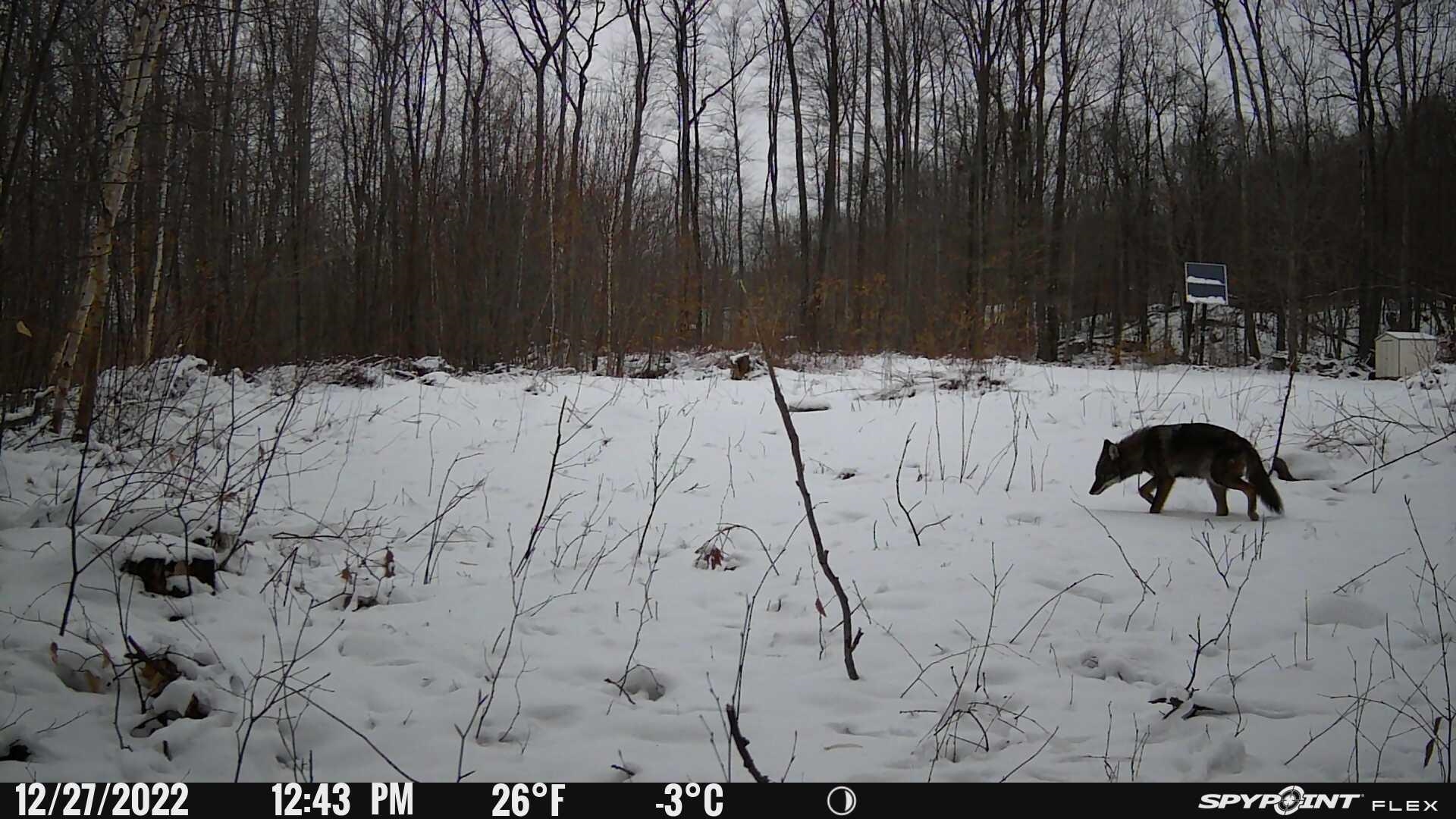 0 Slab Fence Road Rutland, VT 05701 - Photo 27 of 27 Gallery Image 27