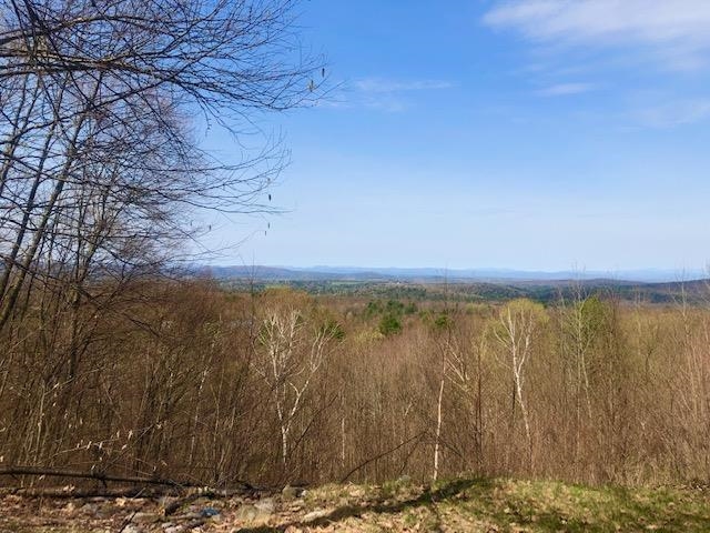 0 Slab Fence Road Rutland, VT 05701 - Photo 5 of 27 Gallery Image 5