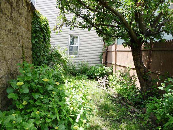 78 Spring Street Cambridge, MA 02141 - Photo 6 of 23 a backyard of a house with lots of green space