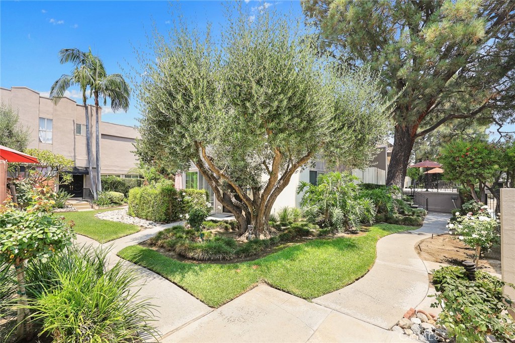 591 Fairview Avenue Arcadia, CA 91007 - Photo 2 of 20 a view of a garden with plants
