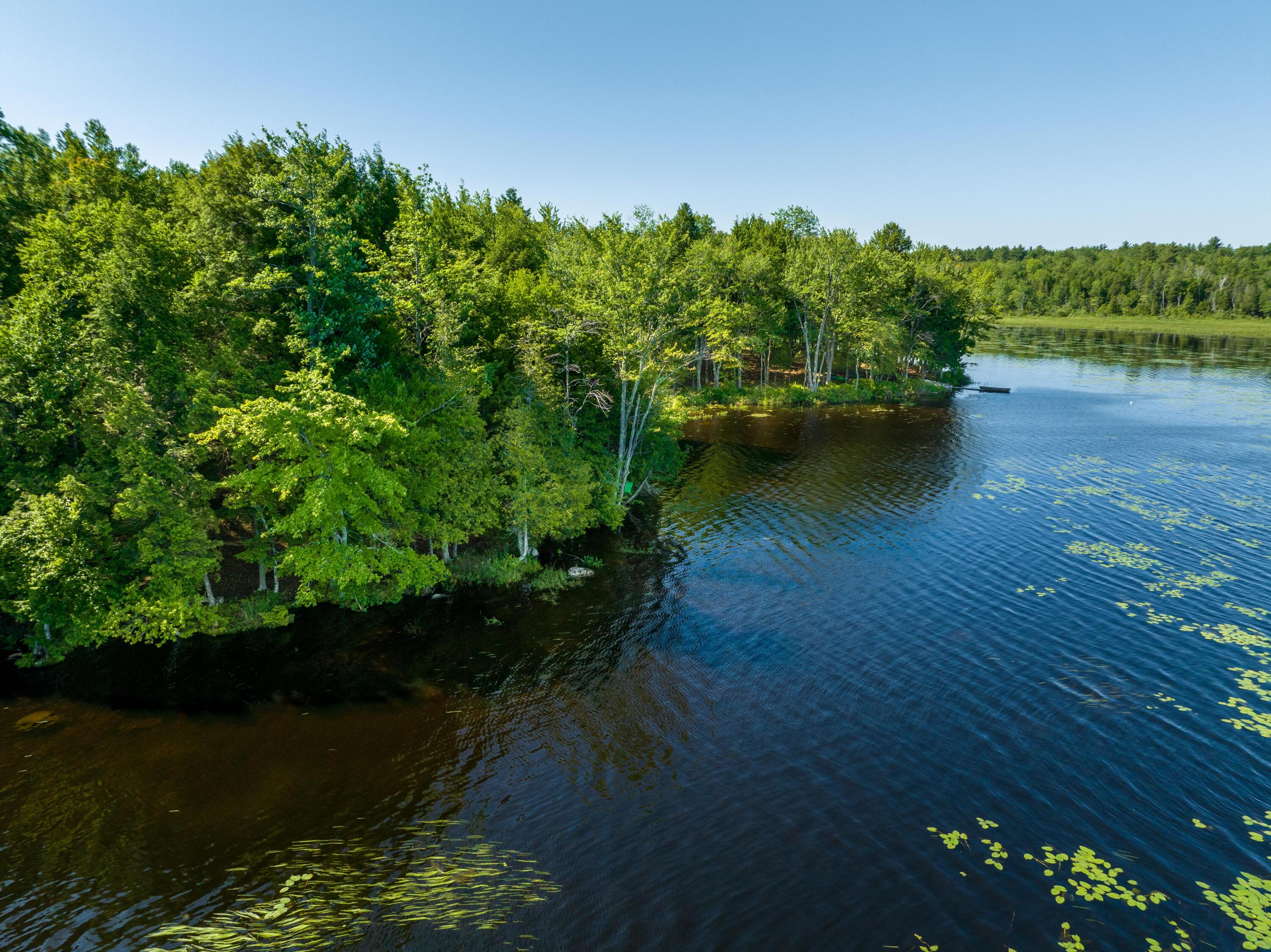 185 Durham Bridge Road Newport, ME 04953 - Photo 106 of 116 Shore frontage...